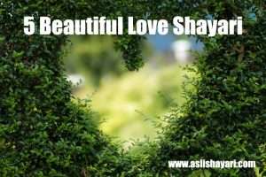 5 beautiful love shayari wallpapers