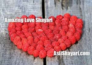 amazing love shayari